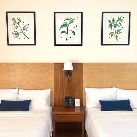 Hotel Plaza Rioverde Рио-Верде Экстерьер фото