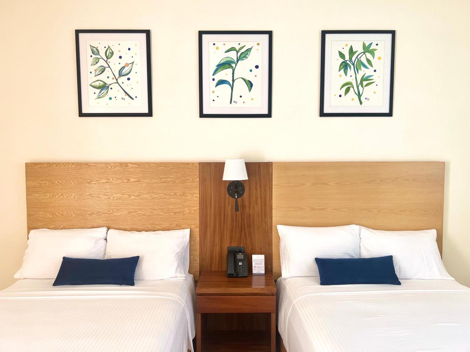 Hotel Plaza Rioverde Рио-Верде Экстерьер фото